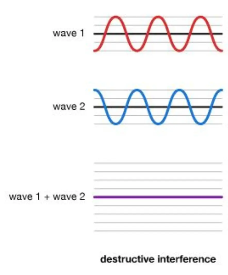 image-0363de18-af7c-40db-b16b-feef3be9c38e