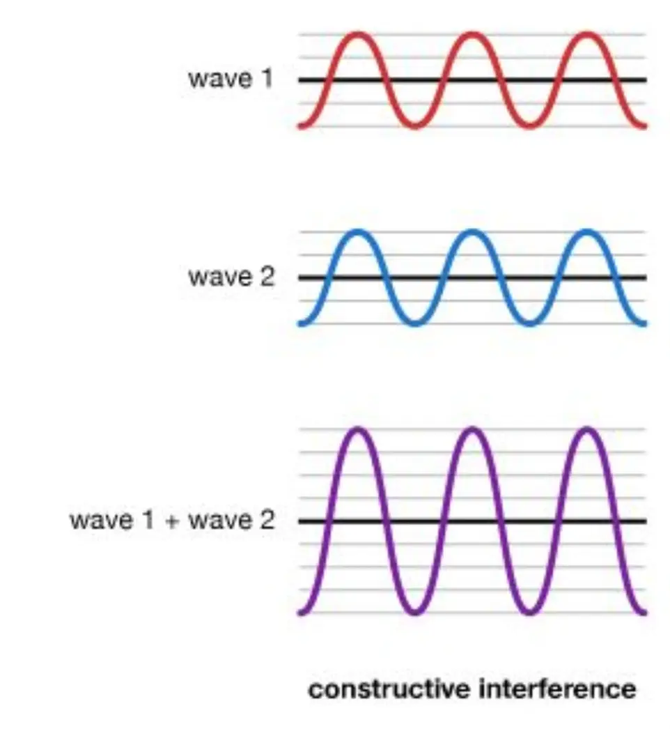 image-3a3504dc-1d60-4785-a605-bc680c65907c