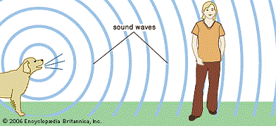 reverb-image.png