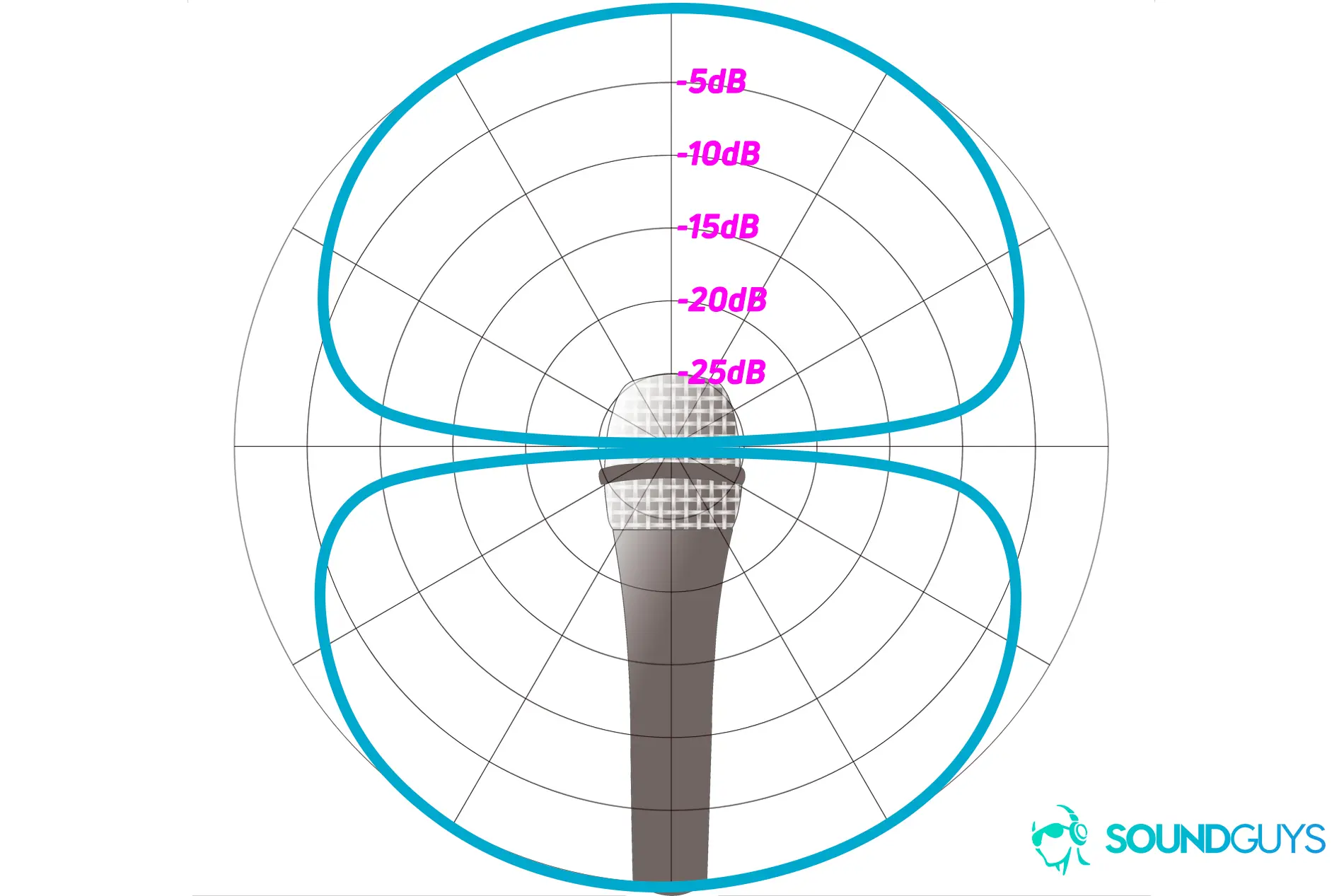 bidirectional polar pattern.webp